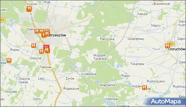 mapa Wygoda Tokarska, Wygoda Tokarska na mapie Targeo