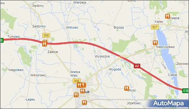 mapa Wysoczka gmina Buk, Wysoczka gmina Buk na mapie Targeo