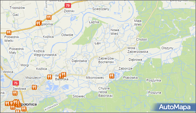 mapa Zabierzów Bocheński, Zabierzów Bocheński na mapie Targeo