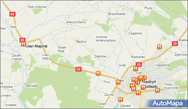 mapa Żabików gmina Radzyń Podlaski, Żabików gmina Radzyń Podlaski na mapie Targeo