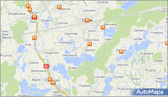 mapa Zaborze gmina Chybie, Zaborze gmina Chybie na mapie Targeo