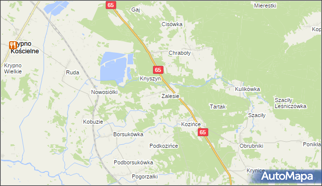 mapa Zalesie gmina Dobrzyniewo Duże, Zalesie gmina Dobrzyniewo Duże na mapie Targeo