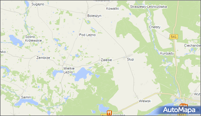 mapa Zalesie gmina Lidzbark, Zalesie gmina Lidzbark na mapie Targeo