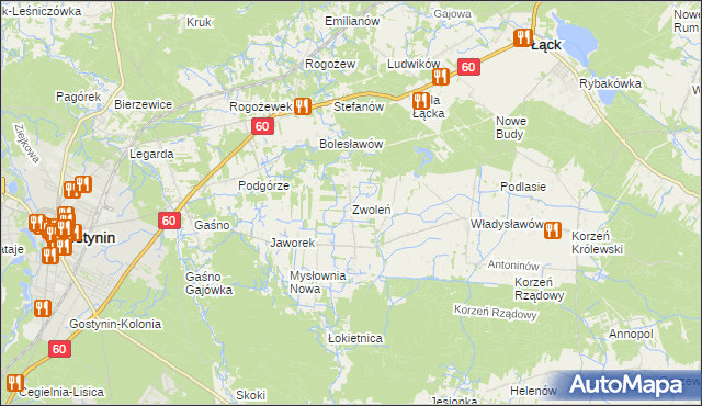 mapa Zwoleń gmina Gostynin, Zwoleń gmina Gostynin na mapie Targeo