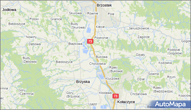 mapa Bukowa gmina Brzostek, Bukowa gmina Brzostek na mapie Targeo