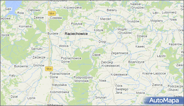 mapa Dąbie gmina Raciechowice, Dąbie gmina Raciechowice na mapie Targeo