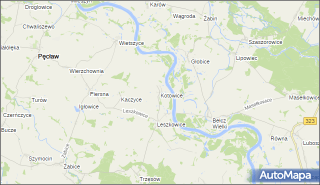 mapa Kotowice gmina Pęcław, Kotowice gmina Pęcław na mapie Targeo