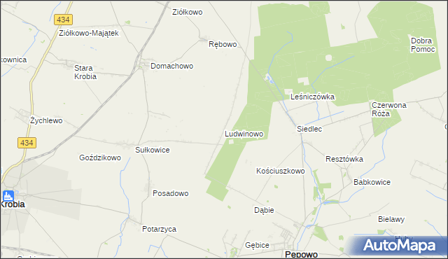 mapa Ludwinowo gmina Pępowo, Ludwinowo gmina Pępowo na mapie Targeo