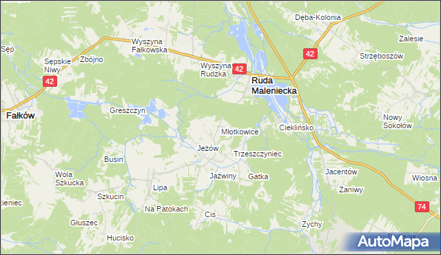 mapa Młotkowice, Młotkowice na mapie Targeo