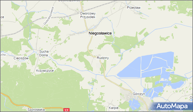 mapa Rudziny gmina Niegosławice, Rudziny gmina Niegosławice na mapie Targeo