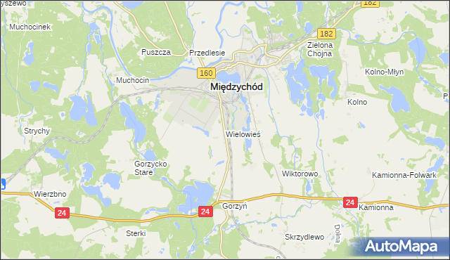 mapa Wielowieś gmina Międzychód, Wielowieś gmina Międzychód na mapie Targeo