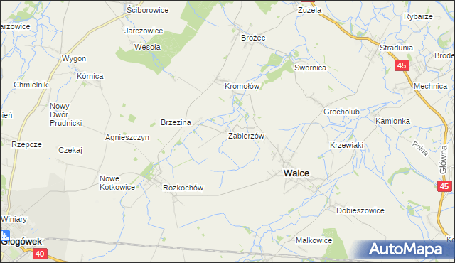 mapa Zabierzów gmina Walce, Zabierzów gmina Walce na mapie Targeo