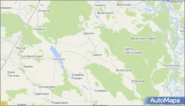 mapa Żabno gmina Brodnica, Żabno gmina Brodnica na mapie Targeo