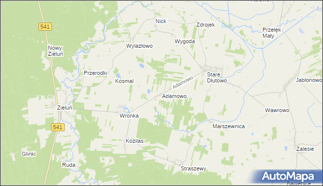 mapa Adamowo gmina Lidzbark, Adamowo gmina Lidzbark na mapie Targeo