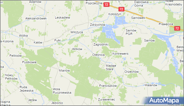 mapa Oleśnica gmina Dalików, Oleśnica gmina Dalików na mapie Targeo