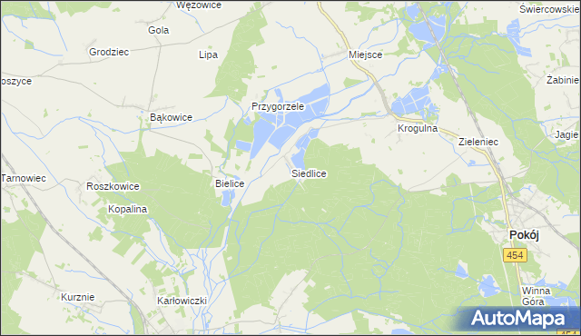 mapa Siedlice gmina Pokój, Siedlice gmina Pokój na mapie Targeo