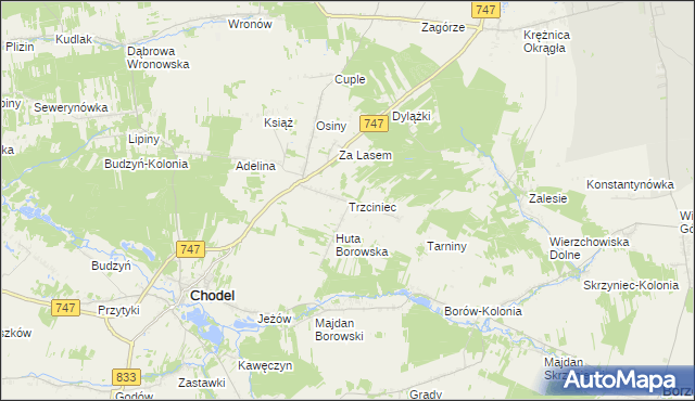 mapa Trzciniec gmina Chodel, Trzciniec gmina Chodel na mapie Targeo