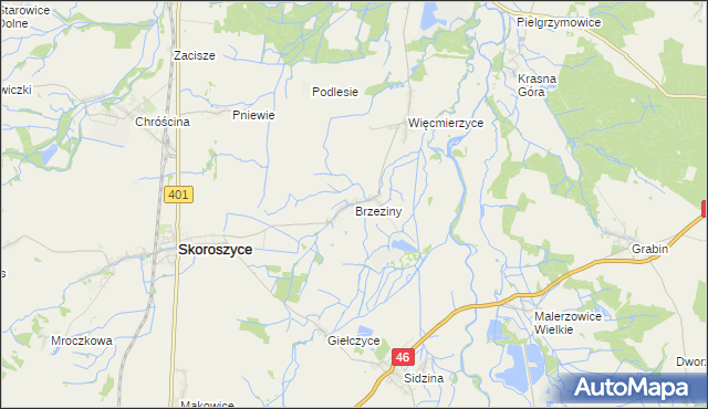 mapa Brzeziny gmina Skoroszyce, Brzeziny gmina Skoroszyce na mapie Targeo