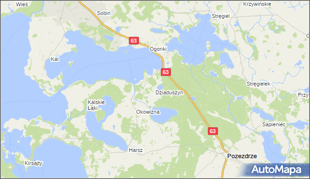 mapa Dziaduszyn, Dziaduszyn na mapie Targeo