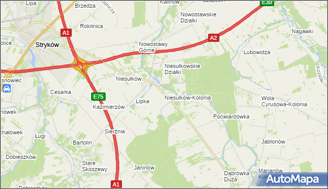 mapa Niesułków-Kolonia, Niesułków-Kolonia na mapie Targeo