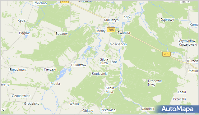 mapa Silpia Duża, Silpia Duża na mapie Targeo