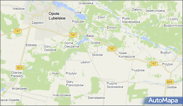 mapa Skoków gmina Opole Lubelskie, Skoków gmina Opole Lubelskie na mapie Targeo