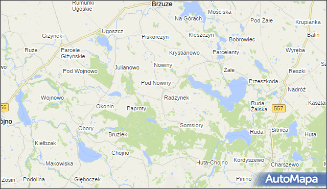 mapa Radzynek, Radzynek na mapie Targeo