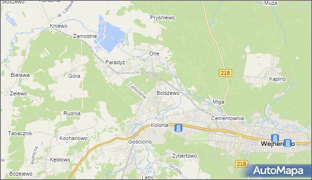 mapa Bolszewo, Bolszewo na mapie Targeo