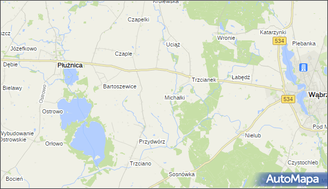 mapa Michałki gmina Ryńsk, Michałki gmina Ryńsk na mapie Targeo