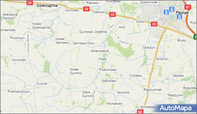 mapa Niwa gmina Dzierzążnia, Niwa gmina Dzierzążnia na mapie Targeo