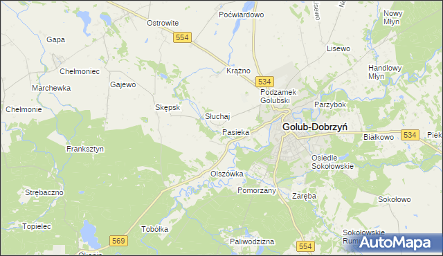 mapa Pasieka gmina Golub-Dobrzyń, Pasieka gmina Golub-Dobrzyń na mapie Targeo