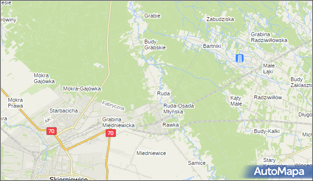 mapa Ruda gmina Skierniewice, Ruda gmina Skierniewice na mapie Targeo