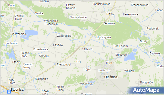 mapa Strzelce gmina Oleśnica, Strzelce gmina Oleśnica na mapie Targeo