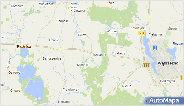 mapa Trzcianek, Trzcianek na mapie Targeo