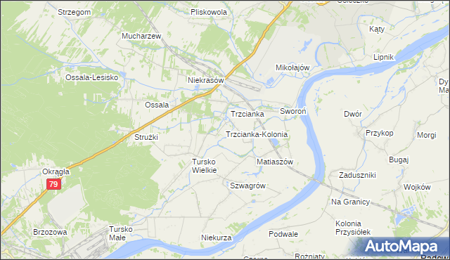 mapa Trzcianka-Kolonia gmina Osiek, Trzcianka-Kolonia gmina Osiek na mapie Targeo