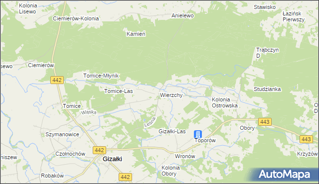 mapa Wierzchy gmina Gizałki, Wierzchy gmina Gizałki na mapie Targeo