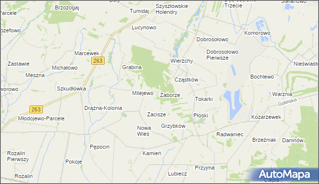 mapa Zaborze gmina Słupca, Zaborze gmina Słupca na mapie Targeo