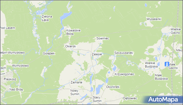 mapa Zalesie gmina Cekcyn, Zalesie gmina Cekcyn na mapie Targeo