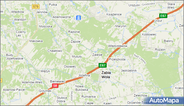 mapa Zalesie gmina Żabia Wola, Zalesie gmina Żabia Wola na mapie Targeo