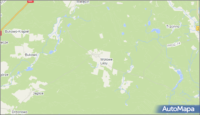 mapa Wołowe Lasy, Wołowe Lasy na mapie Targeo