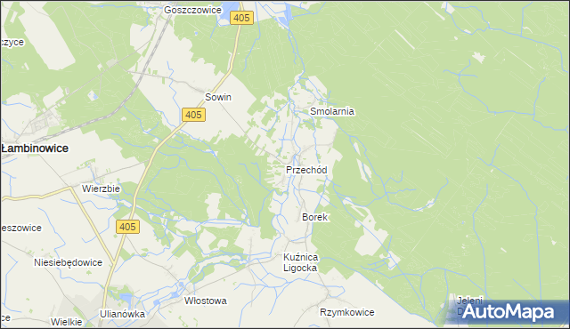 mapa Przechód gmina Korfantów, Przechód gmina Korfantów na mapie Targeo