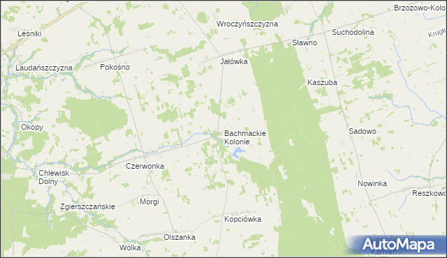 mapa Bachmackie Kolonie, Bachmackie Kolonie na mapie Targeo