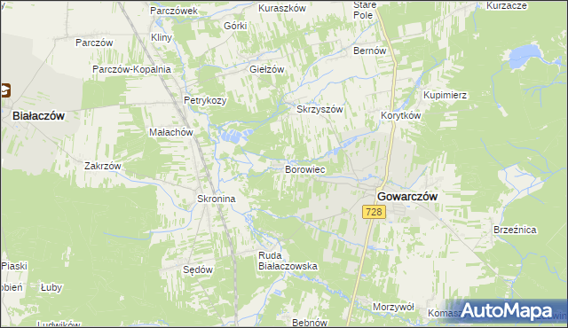 mapa Borowiec gmina Gowarczów, Borowiec gmina Gowarczów na mapie Targeo