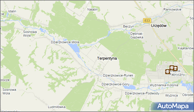 mapa Terpentyna, Terpentyna na mapie Targeo