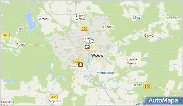 mapa Wołów, Wołów na mapie Targeo