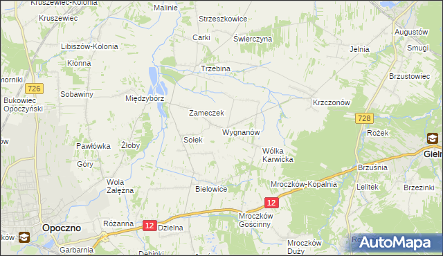 mapa Wygnanów gmina Opoczno, Wygnanów gmina Opoczno na mapie Targeo