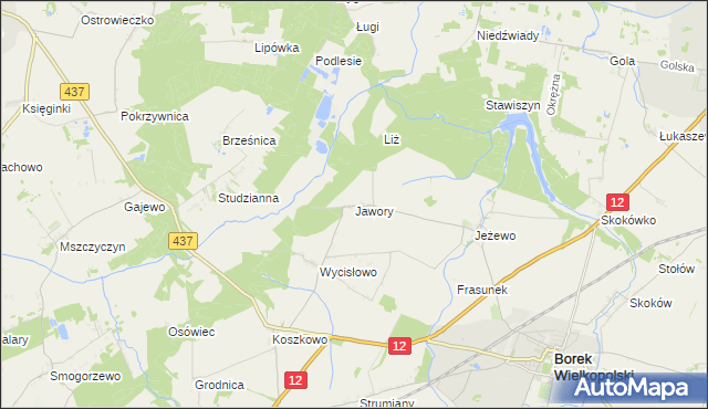 mapa Jawory gmina Borek Wielkopolski, Jawory gmina Borek Wielkopolski na mapie Targeo