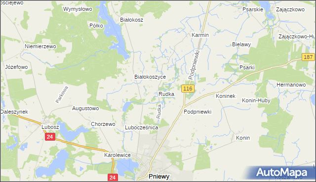 mapa Rudka gmina Pniewy, Rudka gmina Pniewy na mapie Targeo