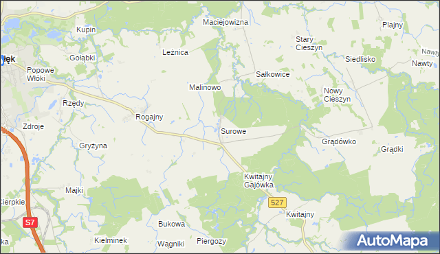 mapa Surowe gmina Pasłęk, Surowe gmina Pasłęk na mapie Targeo