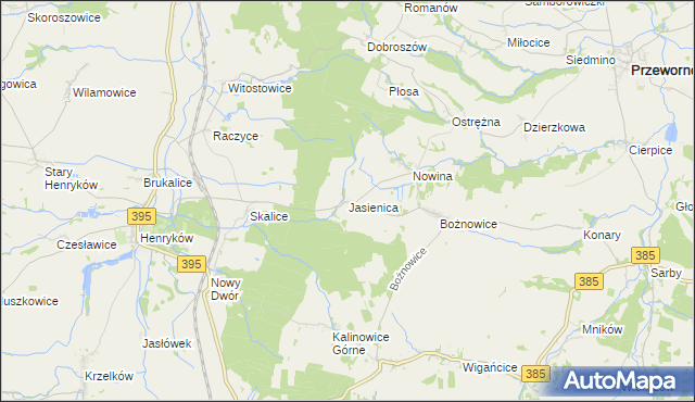 mapa Jasienica gmina Ziębice, Jasienica gmina Ziębice na mapie Targeo